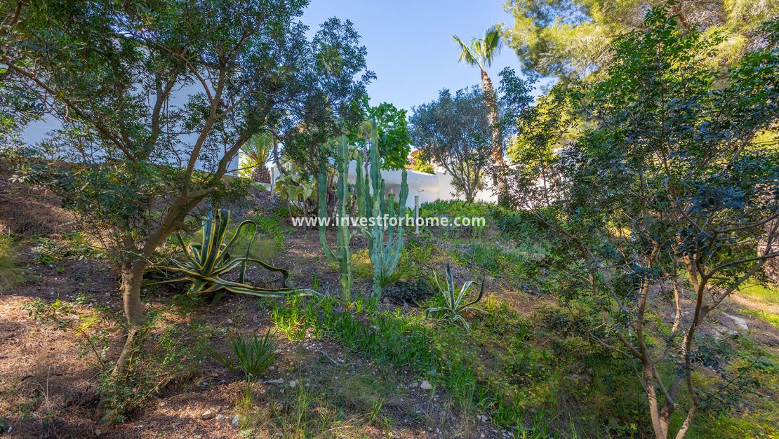 Vente - Villa - Orihuela Costa - Inland