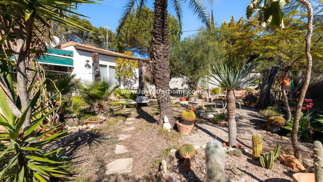 Vente - Villa - Orihuela Costa - Lomas De Cabo Roig-los Dolses