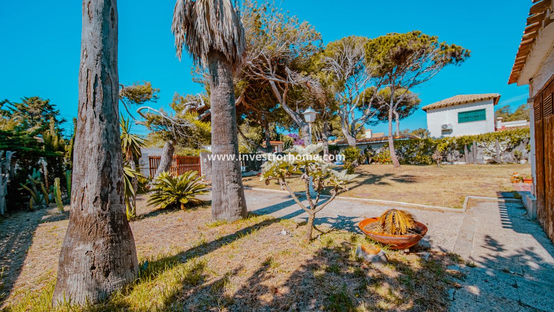 Vente - Villa - Orihuela Costa - Playa Flamenca