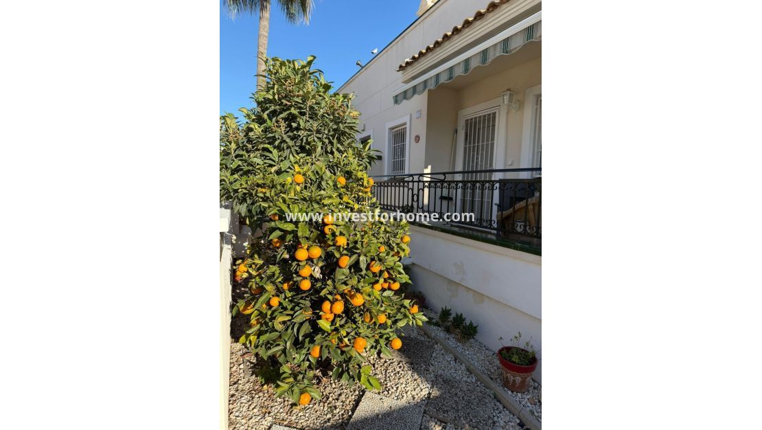 Vente - Villa - Orihuela Costa - Playa Flamenca