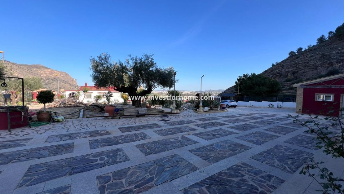 Vente - Villa - Orihuela Costa - Raiguero De Bonanza