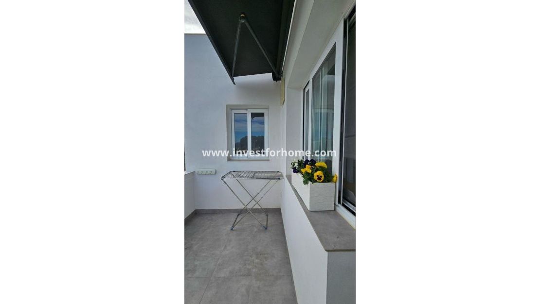 Vente - Villa - Orihuela Costa - Urb. Montepinar