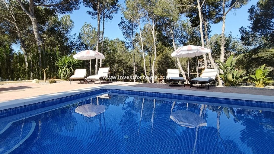 Vente - Villa - Pilar de la Horadada - Pinar de Campoverde