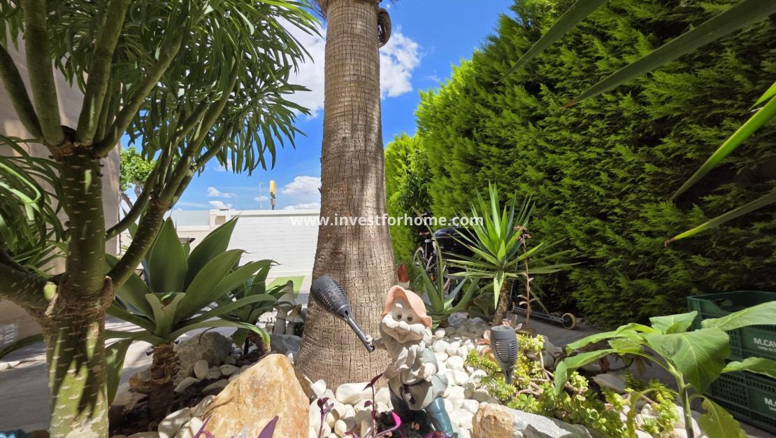 Vente - Villa - Pilar de la Horadada - Zona Pueblo