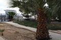 Vente - Villa - Rojales - Costa Blanca Sur