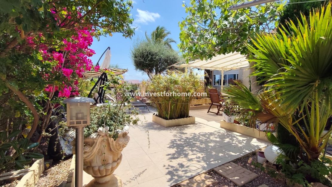 Vente - Villa - Rojales - Costa Blanca