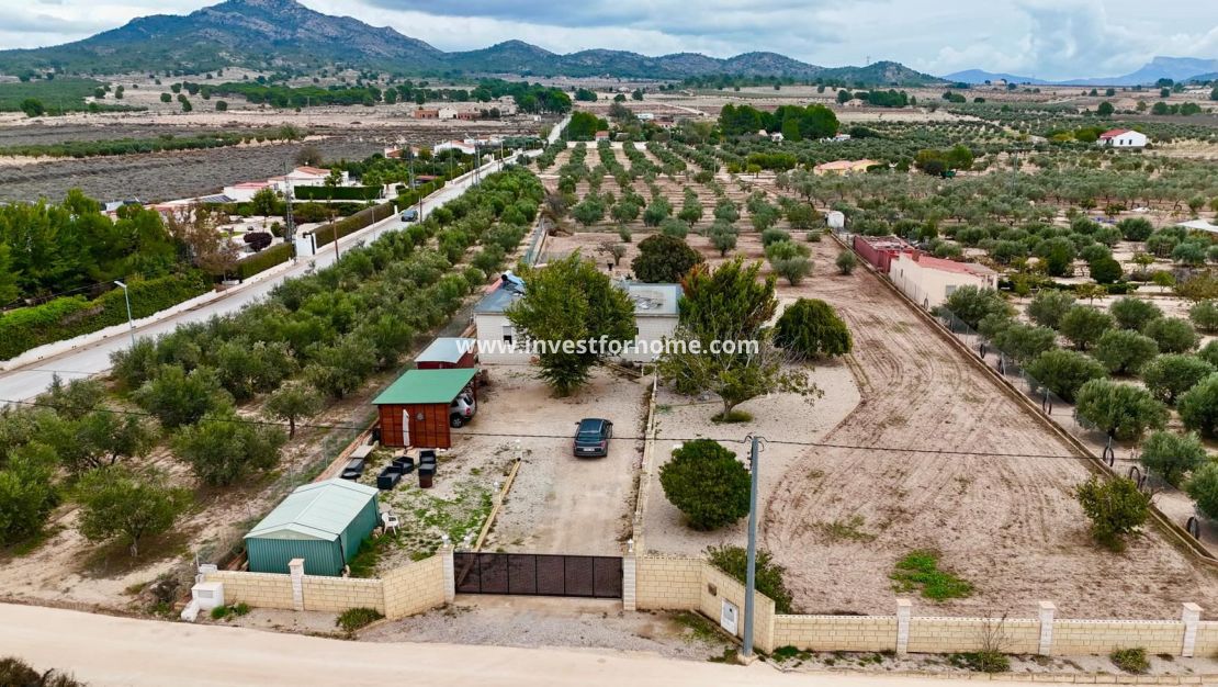 Vente - Villa - Salinas - Inland