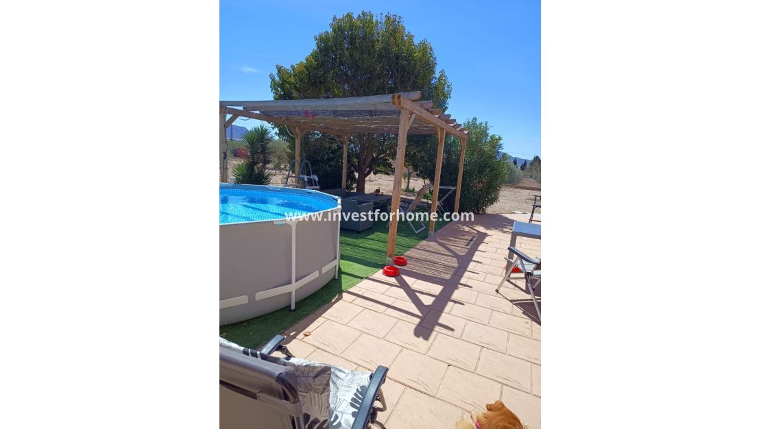 Vente - Villa - Salinas - Inland