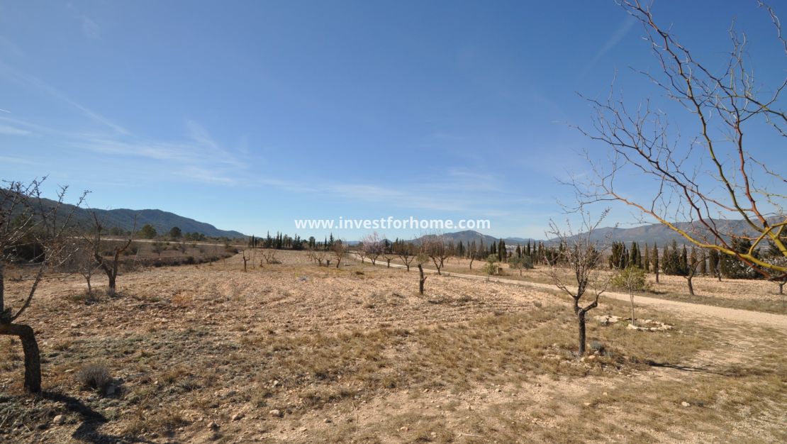 Vente - Villa - Salinas - Inland