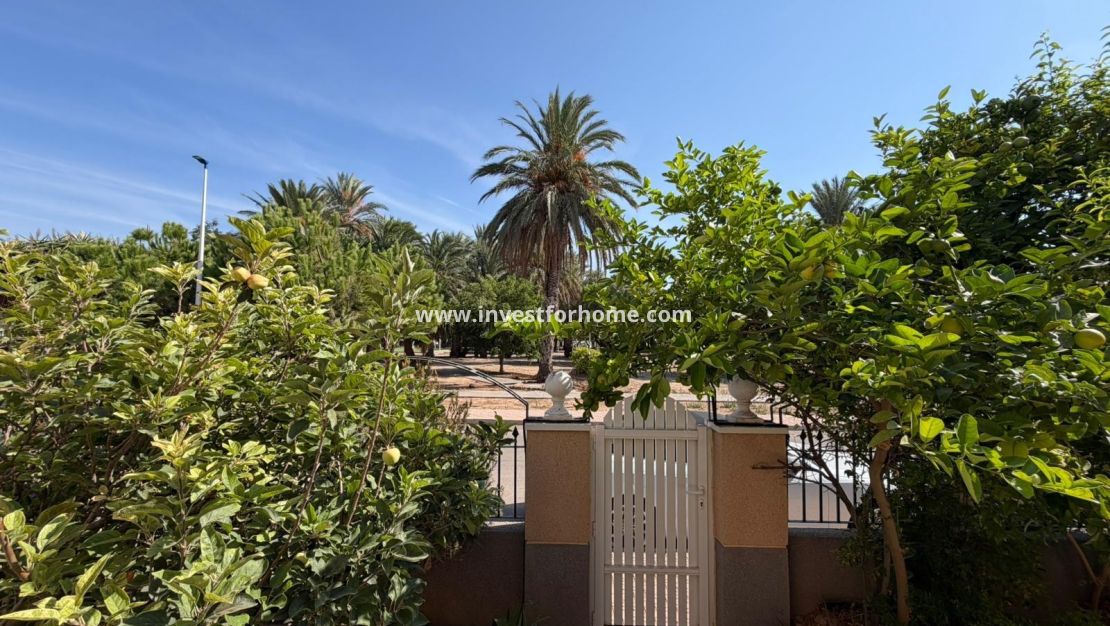 Vente - Villa - San Javier - San Blas