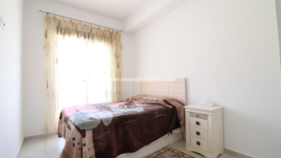 Vente - Villa - San Miguel de Salinas - Cerro del Sol