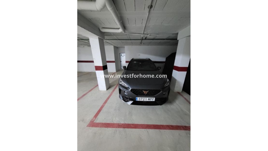 Vente - Villa - San Miguel de Salinas - Cerro del Sol