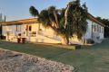 Vente - Villa - San Miguel de Salinas - Inland