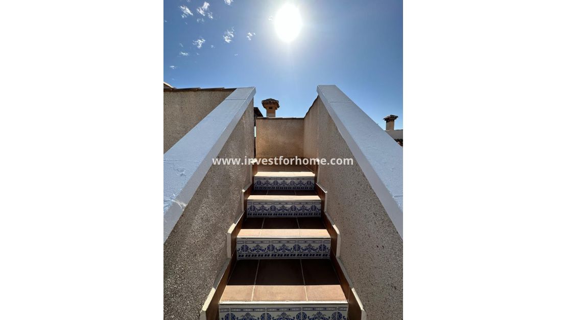 Vente - Villa - San Miguel de Salinas - Inland