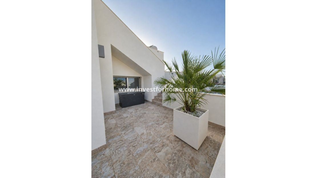 Vente - Villa - San Miguel de Salinas - Inland