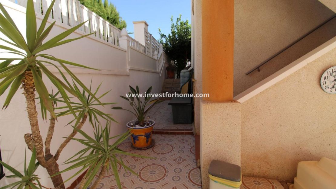Vente - Villa - San Miguel de Salinas - Inland