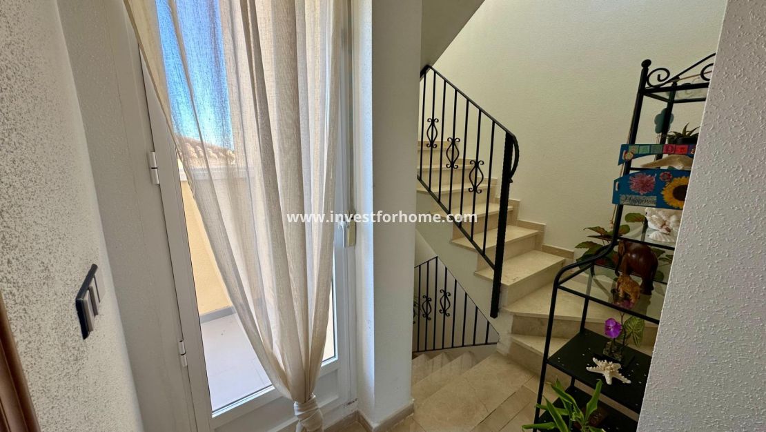 Vente - Villa - San Miguel de Salinas - Residencial Los Flamencos