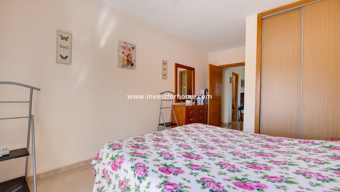 Vente - Villa - Torrevieja - aguas nuevas
