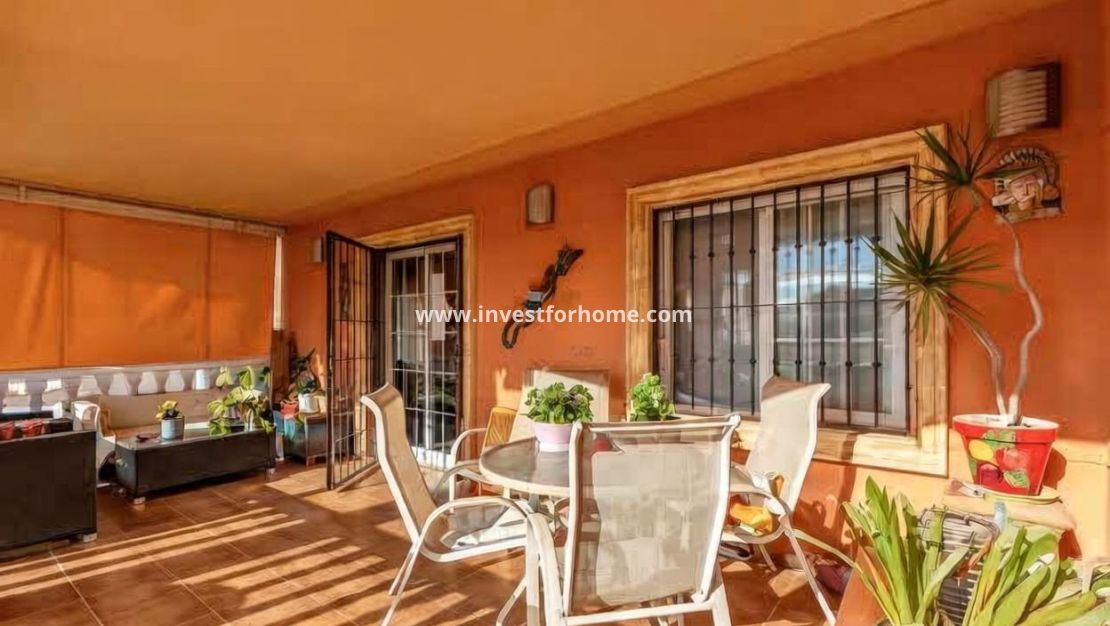 Vente - Villa - Torrevieja - aguas nuevas
