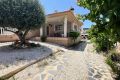 Vente - Villa - Torrevieja - aguas nuevas