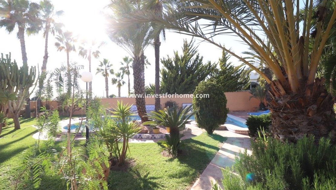 Vente - Villa - Torrevieja - Costa Blanca