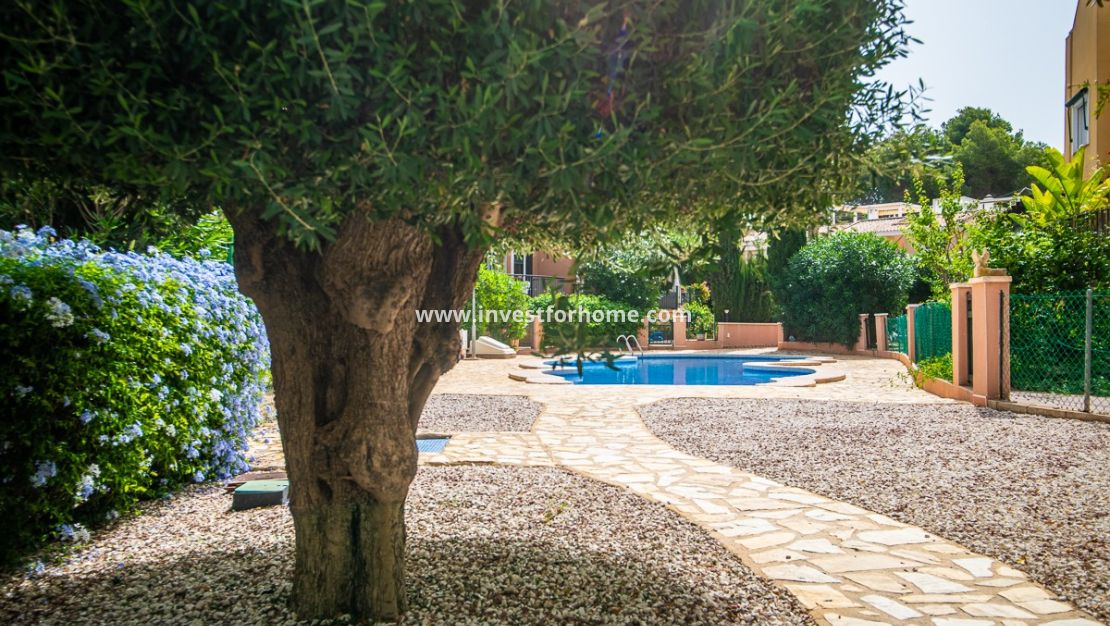 Vente - Villa - Torrevieja - Costa Blanca