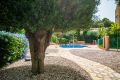 Vente - Villa - Torrevieja - Costa Blanca