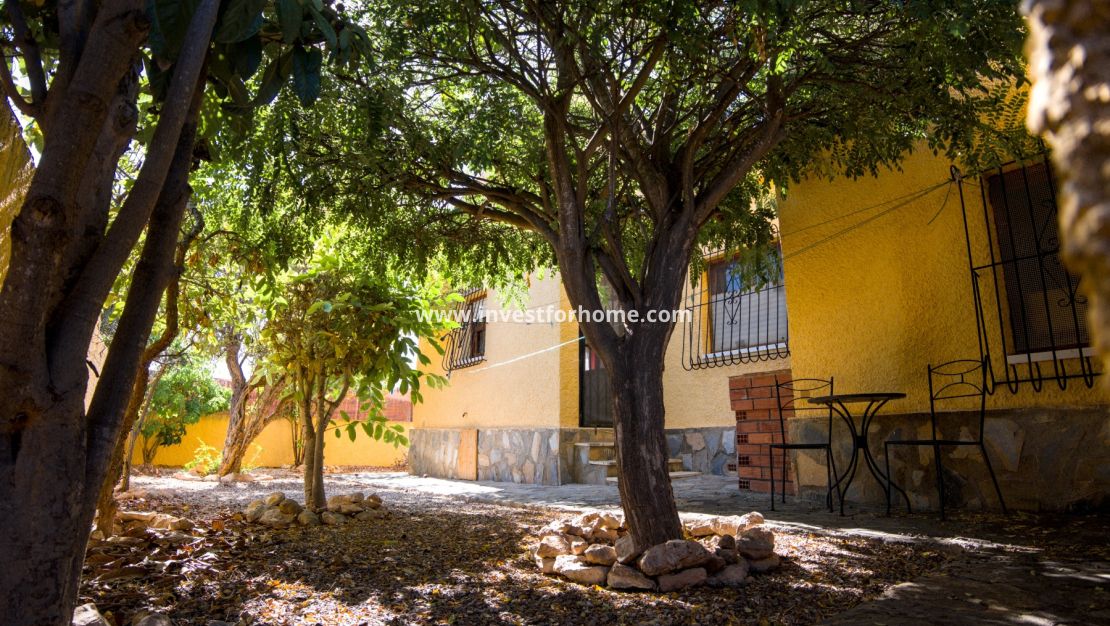 Vente - Villa - Torrevieja - Costa Blanca