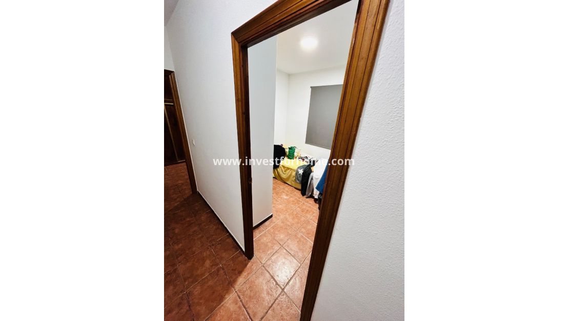 Vente - Villa - Torrevieja - Costa Blanca