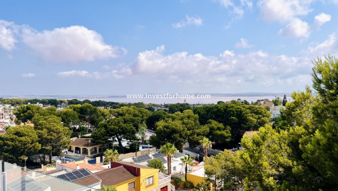 Vente - Villa - Torrevieja - Costa Blanca