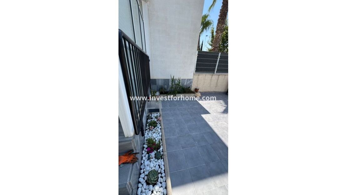 Vente - Villa - Torrevieja - Costa Blanca