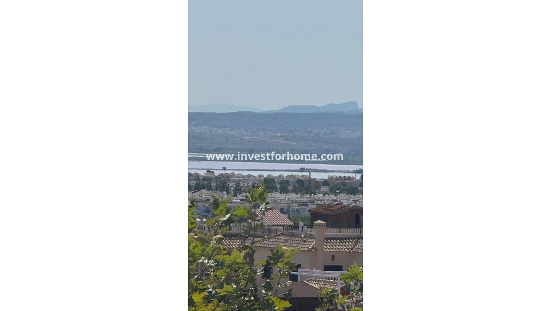 Vente - Villa - Torrevieja - Costa Blanca