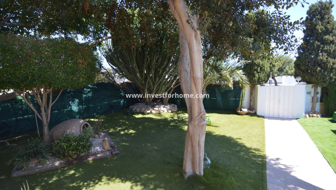 Vente - Villa - Torrevieja - Costa Blanca