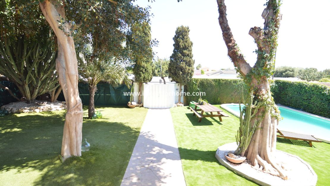 Vente - Villa - Torrevieja - Costa Blanca