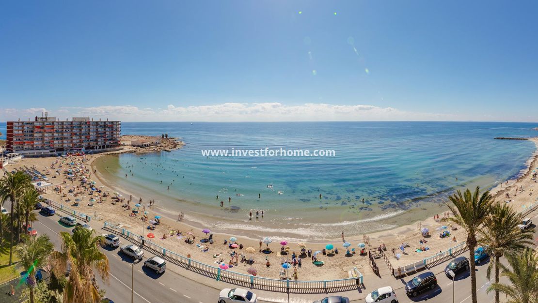 Vente - Villa - Torrevieja - Costa Blanca