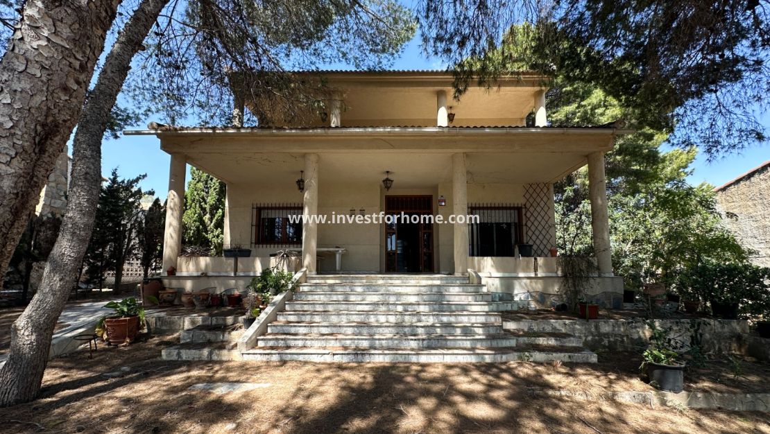 Vente - Villa - Torrevieja - Costa Blanca