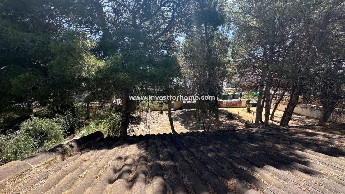 Vente - Villa - Torrevieja - Costa Blanca