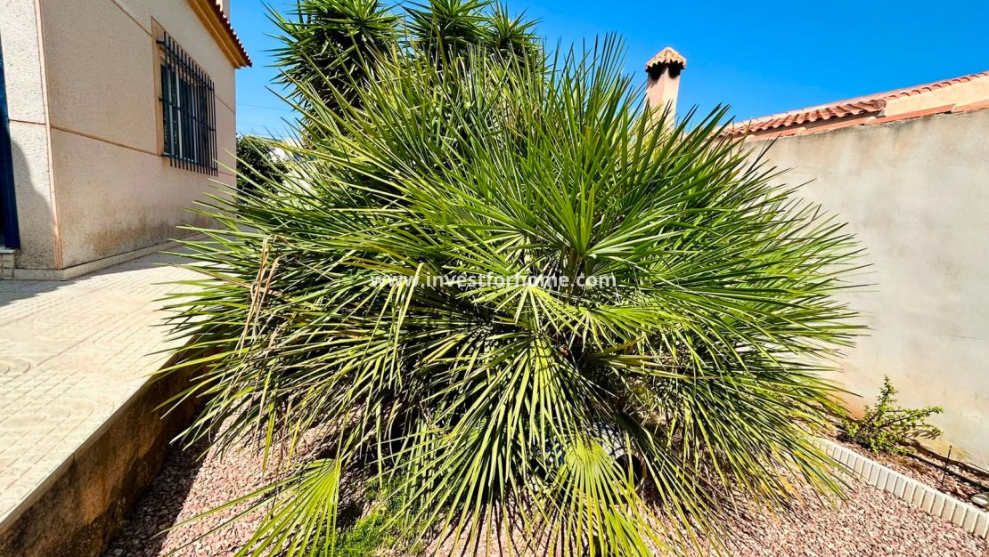 Vente - Villa - Torrevieja - Costa Blanca