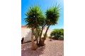 Vente - Villa - Torrevieja - Costa Blanca