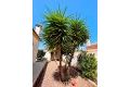 Vente - Villa - Torrevieja - Costa Blanca