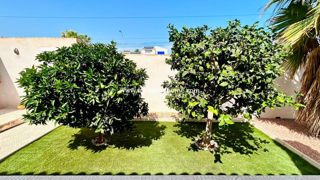 Vente - Villa - Torrevieja - Costa Blanca