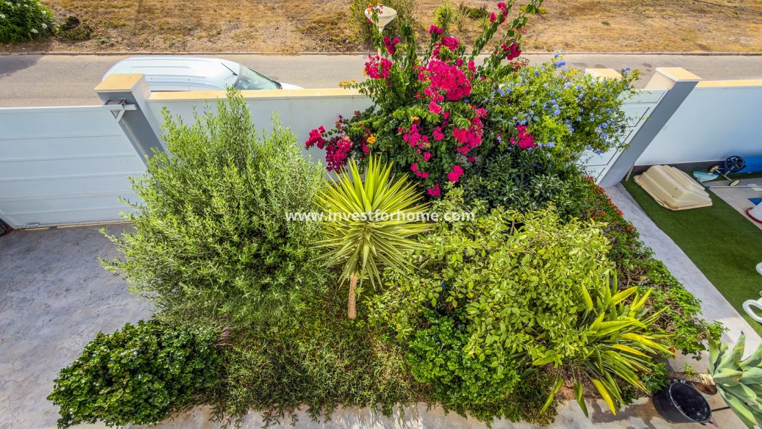 Vente - Villa - Torrevieja - Costa Blanca