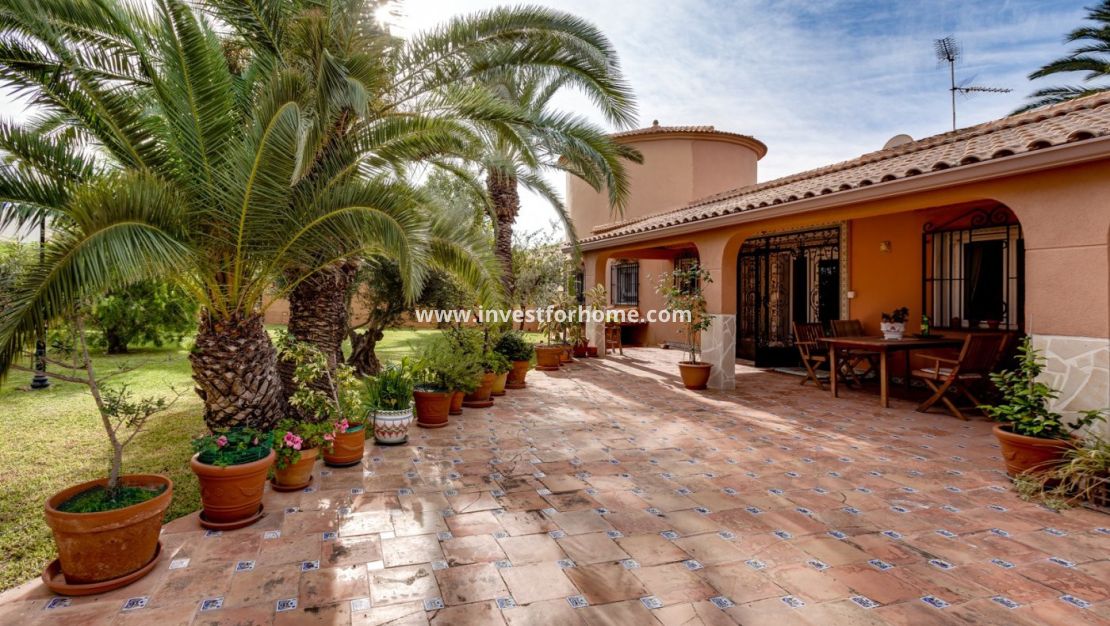 Vente - Villa - Torrevieja - La Siesta-El Chaparral