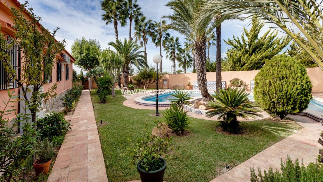 Vente - Villa - Torrevieja - La Siesta-El Chaparral