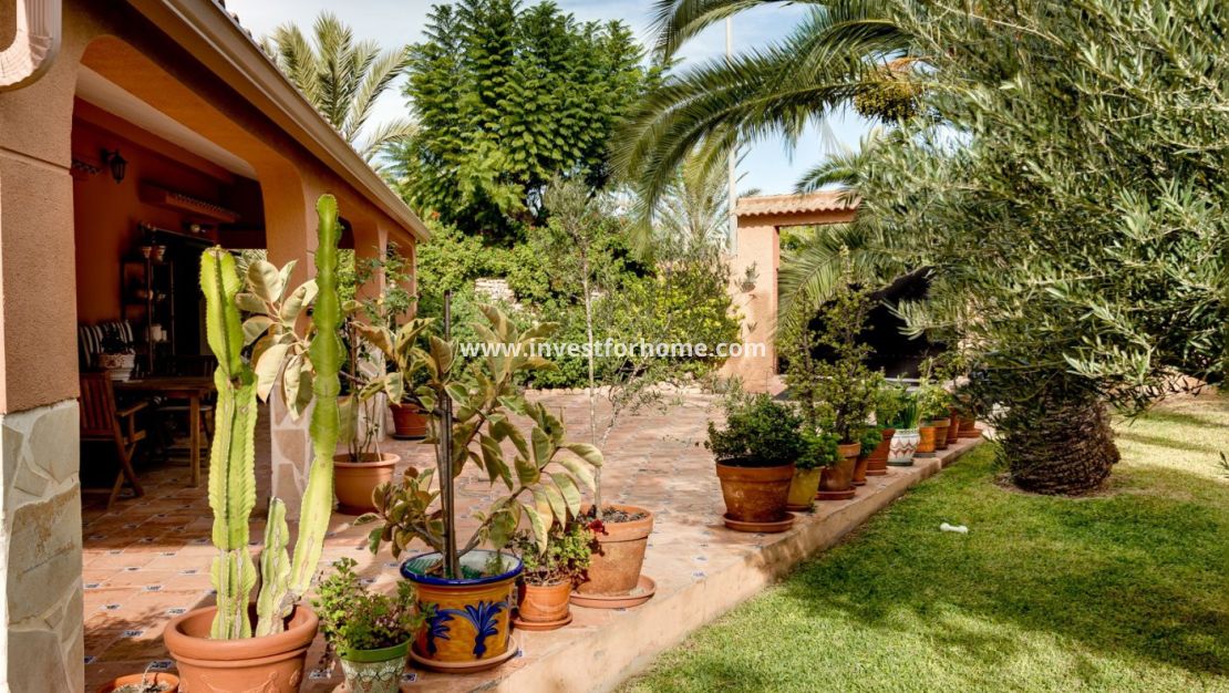 Vente - Villa - Torrevieja - La Siesta-El Chaparral