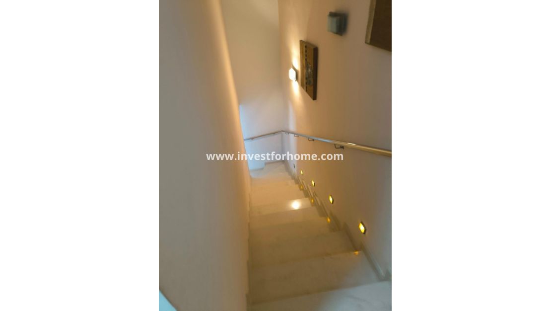 Vente - Villa - Torrevieja - La Siesta-El Chaparral