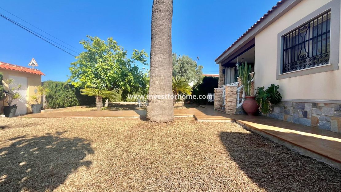 Vente - Villa - Torrevieja - Los Balcones - Los Altos Del Edén