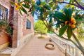 Vente - Villa - Torrevieja - Los Balcones - Los Altos Del Edén