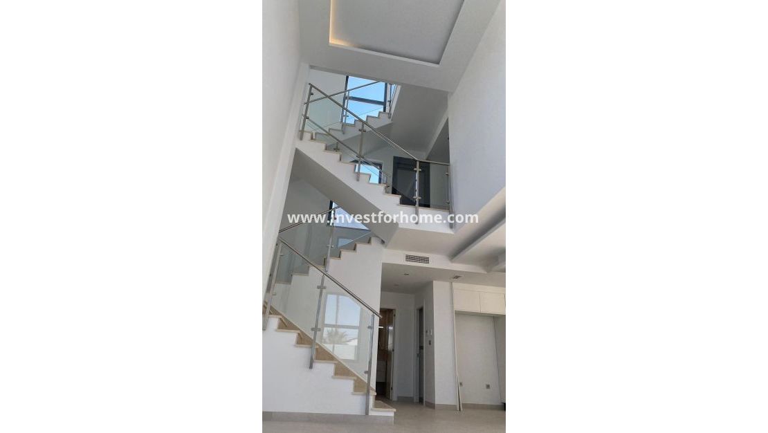 Vente - Villa - Torrevieja - Los Balcones