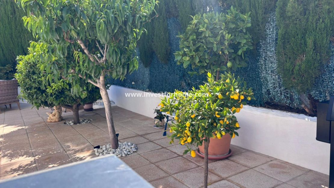 Vente - Villa - Torrevieja - Los Balcones